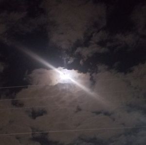 Meet your Posher, Lyn